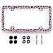 MUAWUOIK Sexy Leopard License Plate Frame Pink Leopard Animal Print License Plate Holder Colorful Stainless Steel Parts Funny License Plate Decoration with Screws 123 x 63 - Image 2