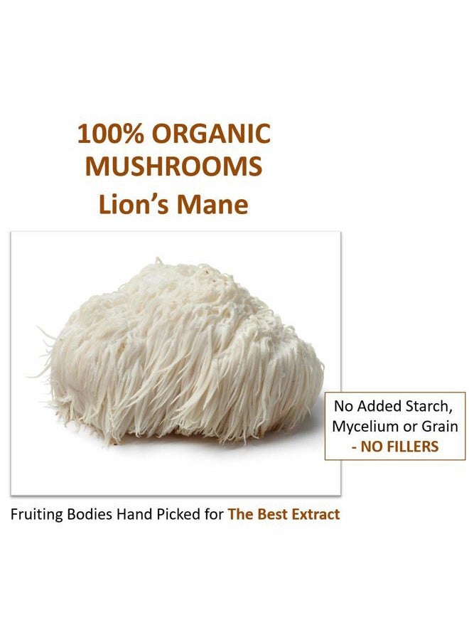 Jetsu Lions Mane Mushroom Powder, Organic, Vegan, Non-GMO Extract Supplement. Nootropic to Support Brain Health, Boost Neuron Growth and Your Immune System for Clarity and Focus. (227g) - Image 4