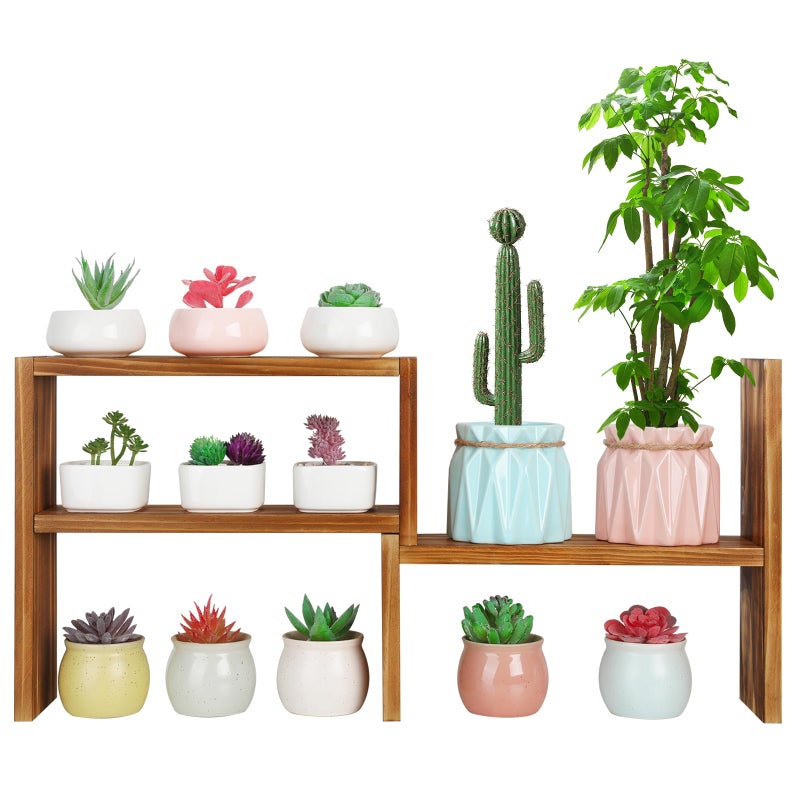 OcBuct 5 Tiered Small Window Plant ShelfWooden Desktop Plant Stand Indoor Table Top Plants ShelvesWindow Sill Shelf for Plants LoversSucculent Countertop Plant Rack Holder - Image 2