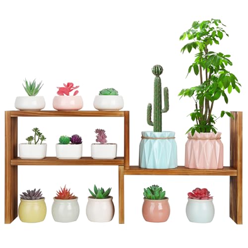 OcBuct 5 Tiered Small Window Plant ShelfWooden Desktop Plant Stand Indoor Table Top Plants ShelvesWindow Sill Shelf for Plants LoversSucculent Countertop Plant Rack Holder - Image 1