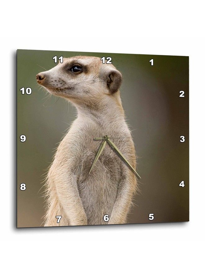 3DROSE Dpp_73457_2 Namibia Keetmanshoop Meerkat Burrow Mongooseaf31 Pso0140Paul Souderswall Clock 13 By 13Inch - Image 3