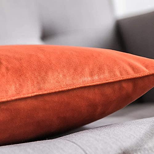 Blue Monkey Soft Velvet Cushion Cover Soft Throw Pillow Cover Pack of 2, Solid Square Cushion Case (18x27, Orange) - Image 2