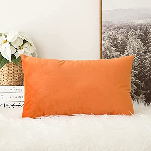 Blue Monkey Soft Velvet Cushion Cover Soft Throw Pillow Cover Pack of 2, Solid Square Cushion Case (18x27, Orange) - Image 4