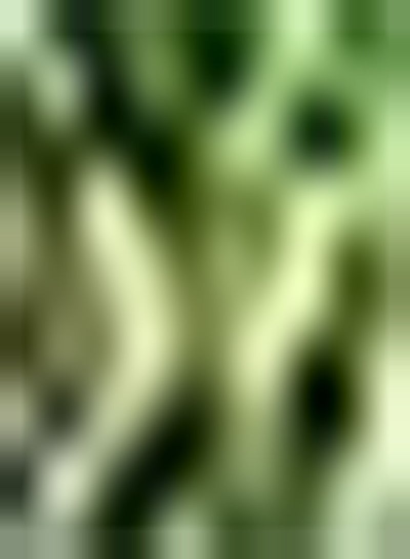 GGOOT 20Stück Annona Samen Zuckerapfel Fruchtsamen Einfach zu pflanzen für den Hausgarten Bauernhof seltene exotische Staude hoher Zierwert - Image 1