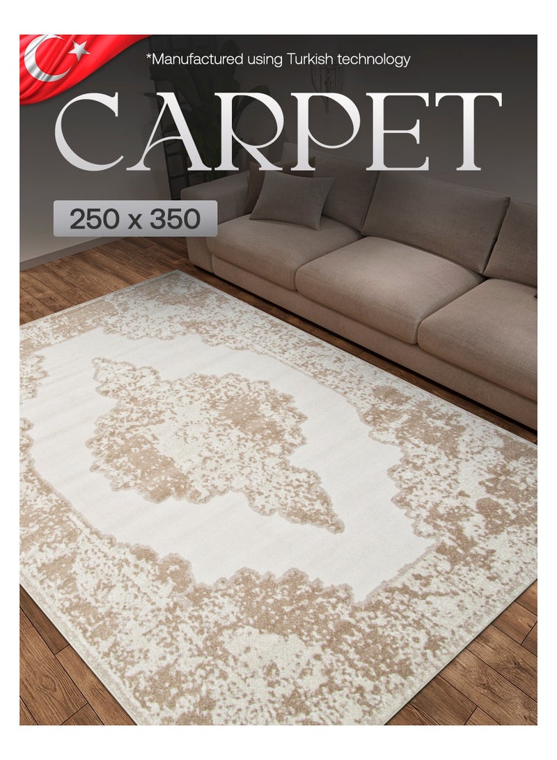 Modern Vintage Style Area Rug Non-Slip Super Soft Touch Living Room Bedroom Floor Decoration Carpet Beige Natural Light Rectangular 250x350 cm - Image 1