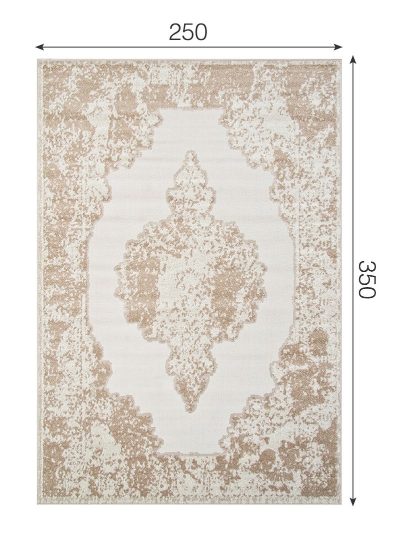 Modern Vintage Style Area Rug Non-Slip Super Soft Touch Living Room Bedroom Floor Decoration Carpet Beige Natural Light Rectangular 250x350 cm - Image 2