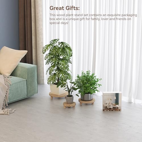 Veakoo 3 Pcs Wood Plant Stand Indoor Outdoor, Wooden Stool Display Stand 6/8/10" Round Riser Flower Pot Holder Small Planter Tray Modern Potter Decorative for Garden Desktop Home Table Counter Room, Natural - Image 3