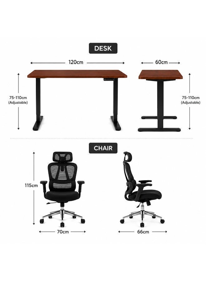 Flexispot Desk and Chair Combo Set – Electric Standing Desk 120x60cm with Memory Controller + Ergonomic Desk Chair with Lumbar Support & 2D Headrest, Black - Image 4