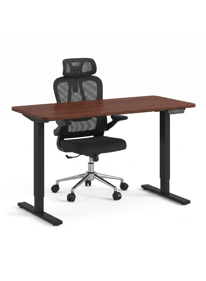 Flexispot Desk and Chair Combo Set – Electric Standing Desk 120x60cm with Memory Controller + Ergonomic Desk Chair with Lumbar Support & 2D Headrest, Black - Image 1