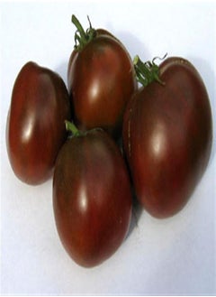 Russian Heritage Heirloom Black Prince Salad Tomato Seeds. Certified French Organic Grower