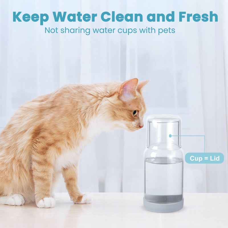 Wikapy Bedside Water Carafe and Glass Set With Silicone Coaster for Nightstand, Bedroom, 18 OZ Clear Mouthwash Dispenser for Bathroom - Image 2