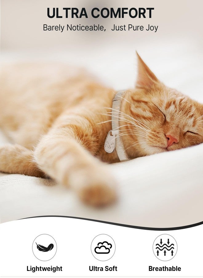 typecase طوق للقطط مع بطاقة اسم قابلة للفك: أطواق للقطط الصغيرة مزودة ببطاقة تعريف برمز الاستجابة السريعة للقطط الإناث والذكور، طوق فائق النعومة والمرونة قابل للتعديل (6-12 بوصة) مع مشبك أمان قابل للفك، أسود - Image 3