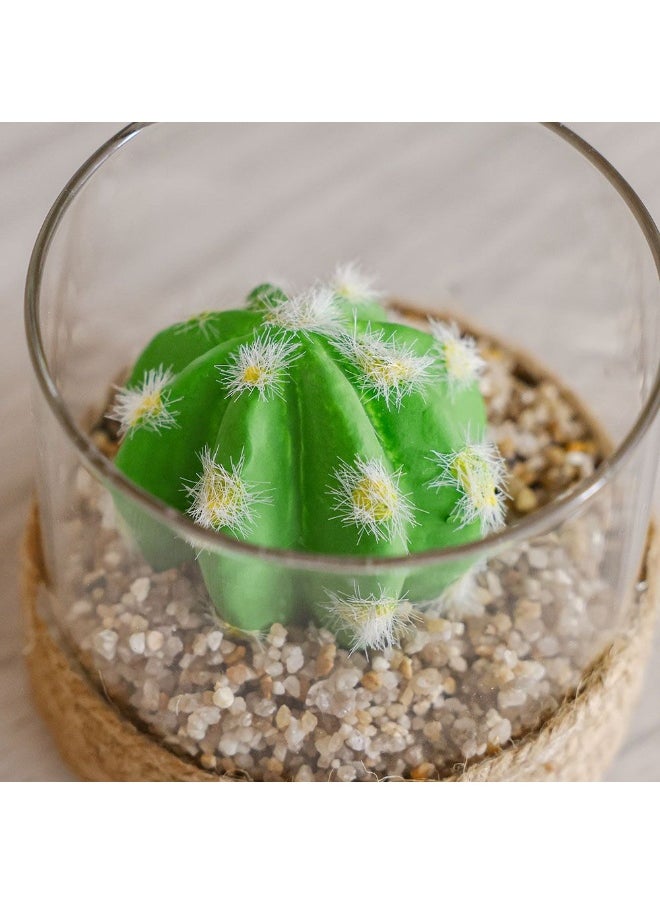 DANUBE HOME Danube Home Treo Sphere Cactus Terrarium - 8.5X8 Cm Multi Color Glass Flower Decoration Low Maintenance Home Decor Collection Decorative Home Accessories  - Image 2