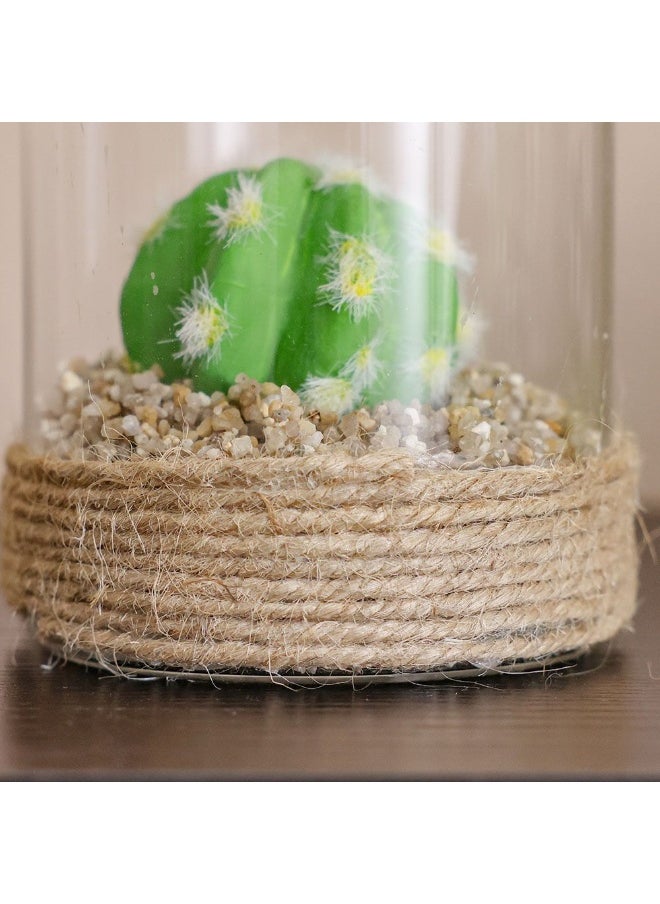 DANUBE HOME Danube Home Treo Sphere Cactus Terrarium - 8.5X8 Cm Multi Color Glass Flower Decoration Low Maintenance Home Decor Collection Decorative Home Accessories  - Image 3