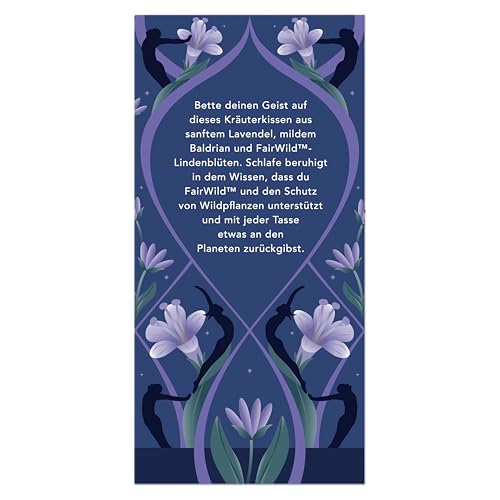 Pukka Herbs Night Time Tea Bags, 20g - Image 5