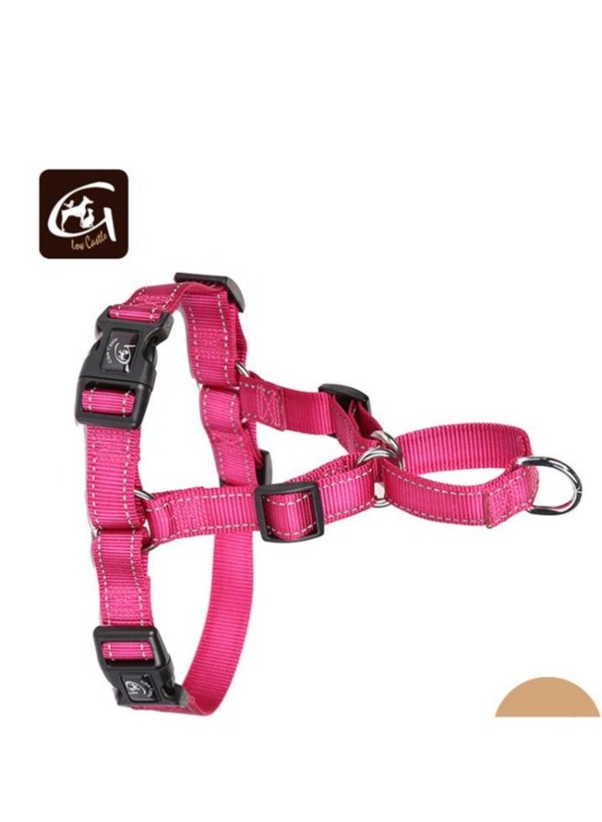 Beauenty pet strap - Image 3