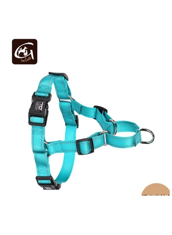 Beauenty pet strap - Image 4