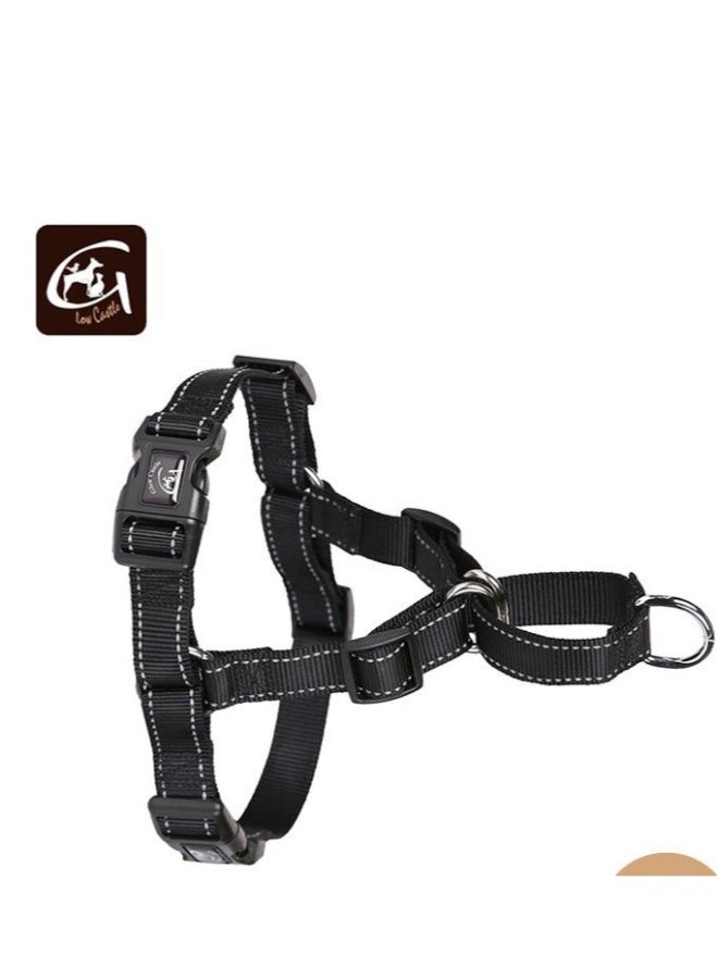 Beauenty pet strap - Image 5
