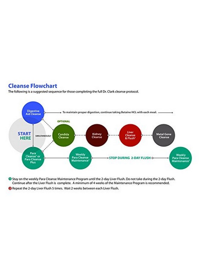 Dr Clark Store Candida Cleanse with Potent Anti-Fungal Formula - Image 4