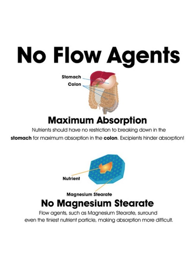 Dr Clark Store Candida Cleanse with Potent Anti-Fungal Formula - Image 5