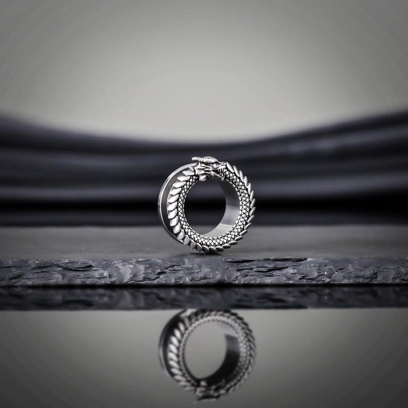 COOEAR Gauges for Ears, Dragon Steel Tunnels Flesh Earring, Stainless Steel Stretchers 2G. - Image 4
