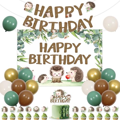SHADOAMP Hedgehog Birthday Party Decorations Girls Boys Watercolor Hedgehog Happy Birthday Backdrop Banner Balloons Cake Cupcake Topper for Woodland Wild One Forest Animal Themed Party Supplies - Image 1