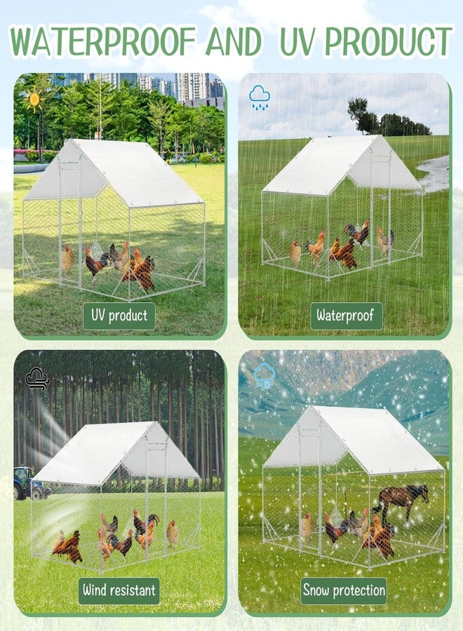 Hlimior 2 PCS Outdoor Waterproof and UV Chicken Coop Cover with 40 Piece Ball Bungee Cord ，Waterproof and Sunproof Enclosure Chicken Coop Tarp for Outdoor Large Walk-in Pens (White, 11.5 x 6.5 ft) - Image 5