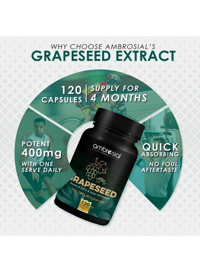 ambrosial كبسولات مستخلص بذور العنب الرائع | 95% من مركبات البوليفينول | مكمل بذور العنب عالي القوة | مضاد أكسدة قوي | عبوة من 1-120 كبسولة نباتية - Image 3