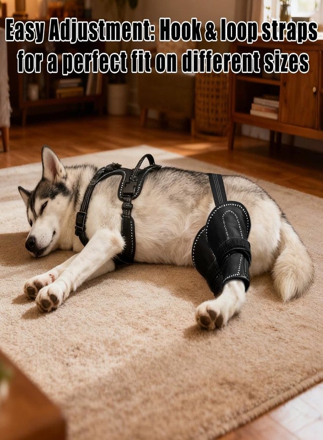 Vivifying Dog Hip & Leg Support Harness for Mobility Assistance, Adjustable Rear Leg Brace with Lift Handle for Injured or Senior Dogs, Joint Stabilizing Hind Leg Support for Walking, Recovery (L) - Image 5
