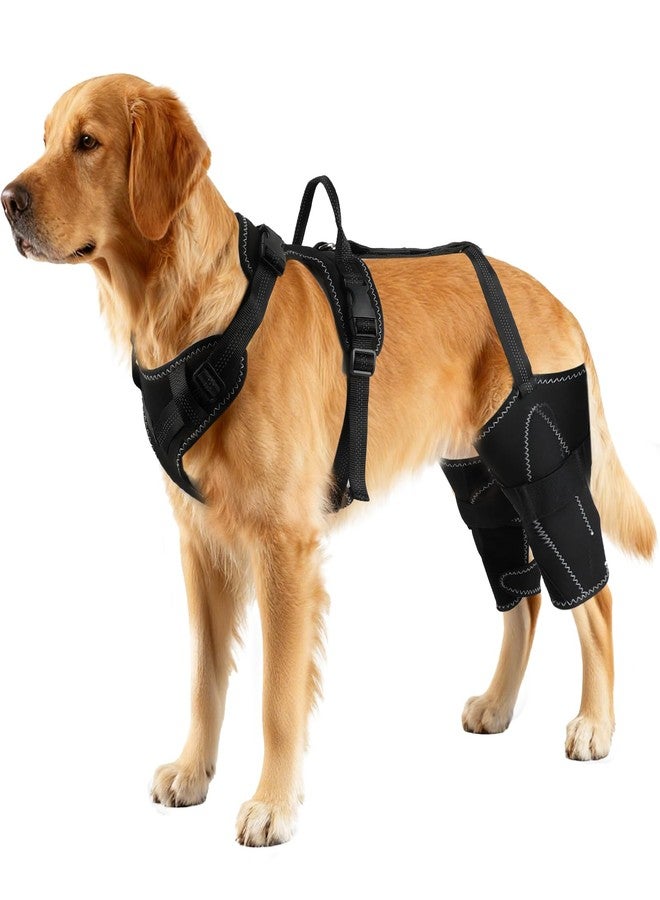 Vivifying Dog Hip & Leg Support Harness for Mobility Assistance, Adjustable Rear Leg Brace with Lift Handle for Injured or Senior Dogs, Joint Stabilizing Hind Leg Support for Walking, Recovery (L) - Image 1