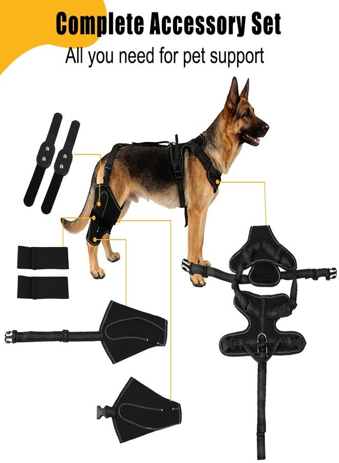 Vivifying Dog Hip & Leg Support Harness for Mobility Assistance, Adjustable Rear Leg Brace with Lift Handle for Injured or Senior Dogs, Joint Stabilizing Hind Leg Support for Walking, Recovery (L) - Image 2