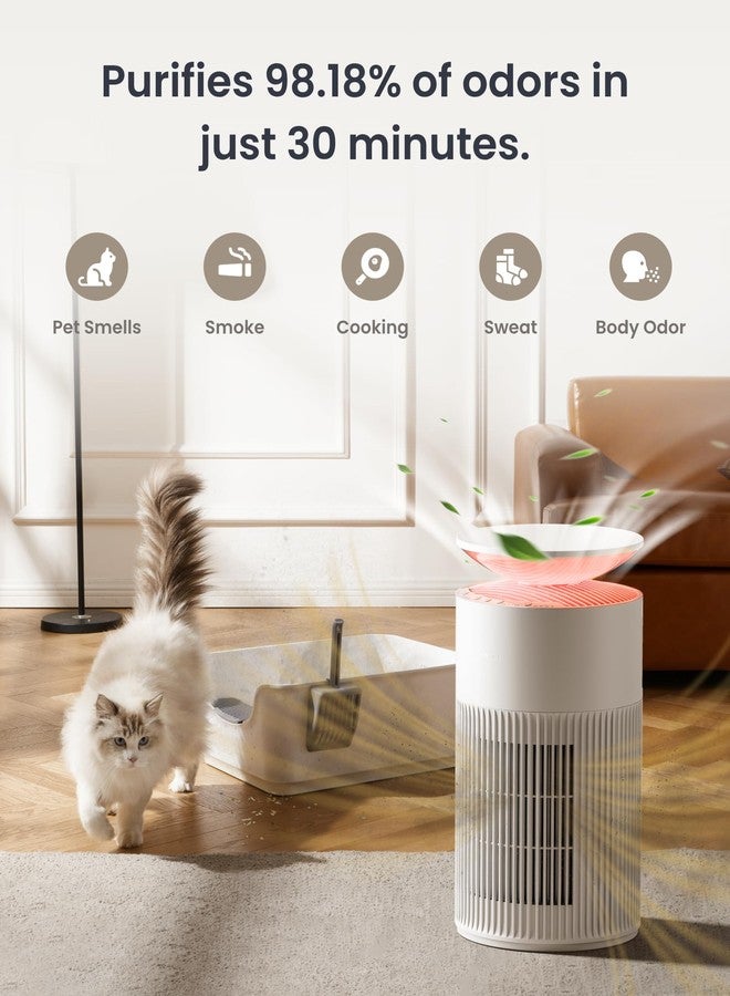 SwitchBot Air Purifier Replacement Filter 1 Pack, Washable Pre-filter, for SwitchBot Air Purifier Series - Image 5