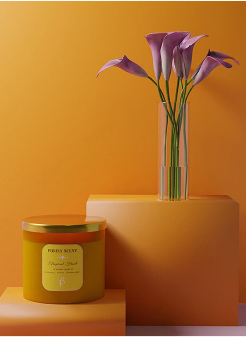 PURELY SCENT Tropical Fruit 100% Soy Wax Candle 410 Grams  - Image 4