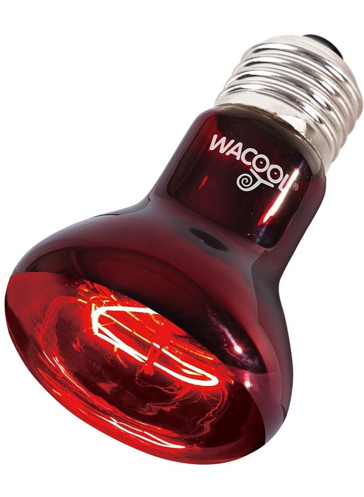 WACOOL Infrared Heat Spot Lamp 75W - Image 4