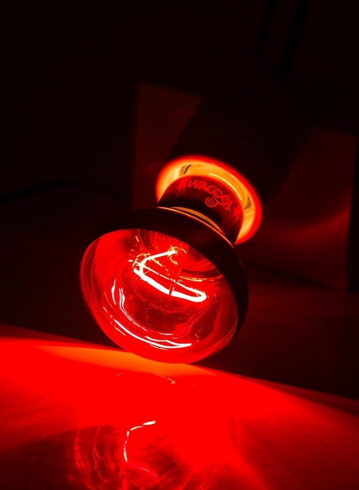 WACOOL Infrared Heat Spot Lamp 75W - Image 2