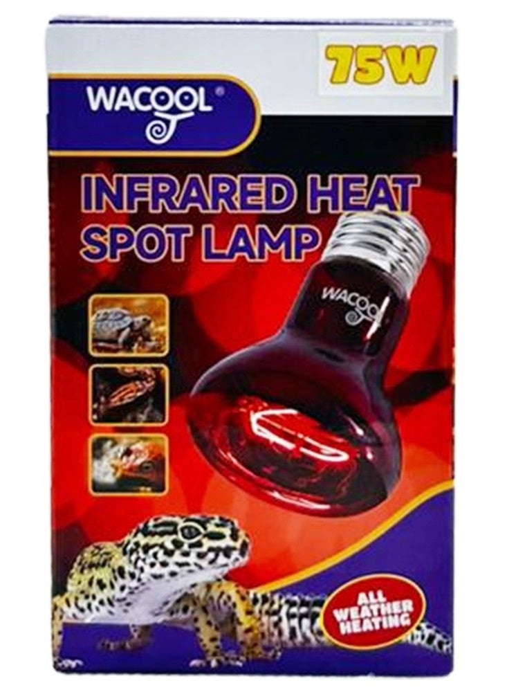 WACOOL Infrared Heat Spot Lamp 75W - Image 5