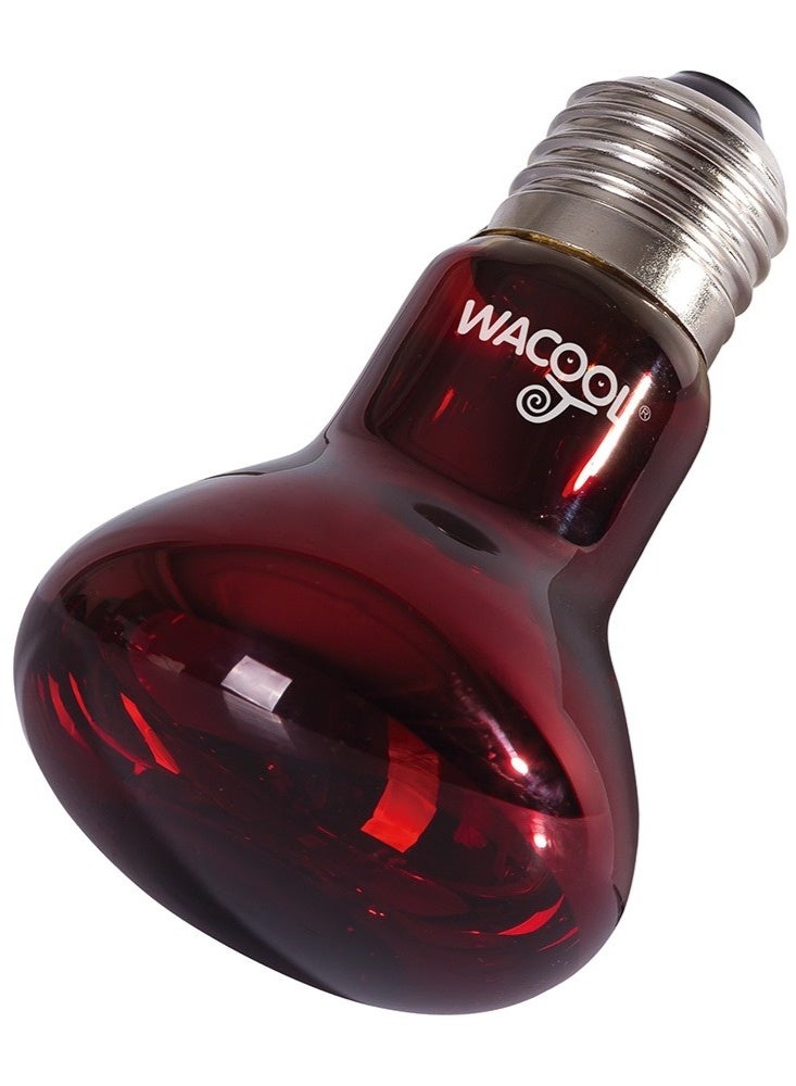 WACOOL Infrared Heat Spot Lamp 75W - Image 3