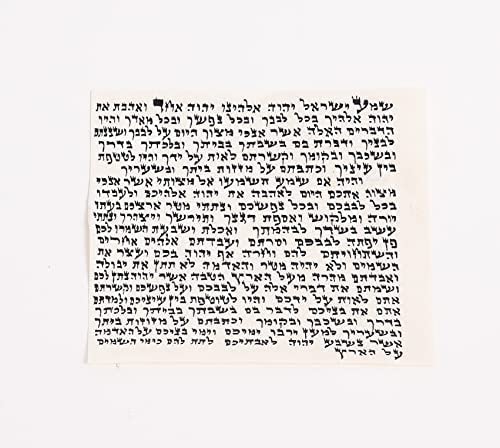 PROSHOFAR Kosher Mezuzah Scroll From Israel - Klaf Mezuza Parchment by ProShofar (5") - Image 2