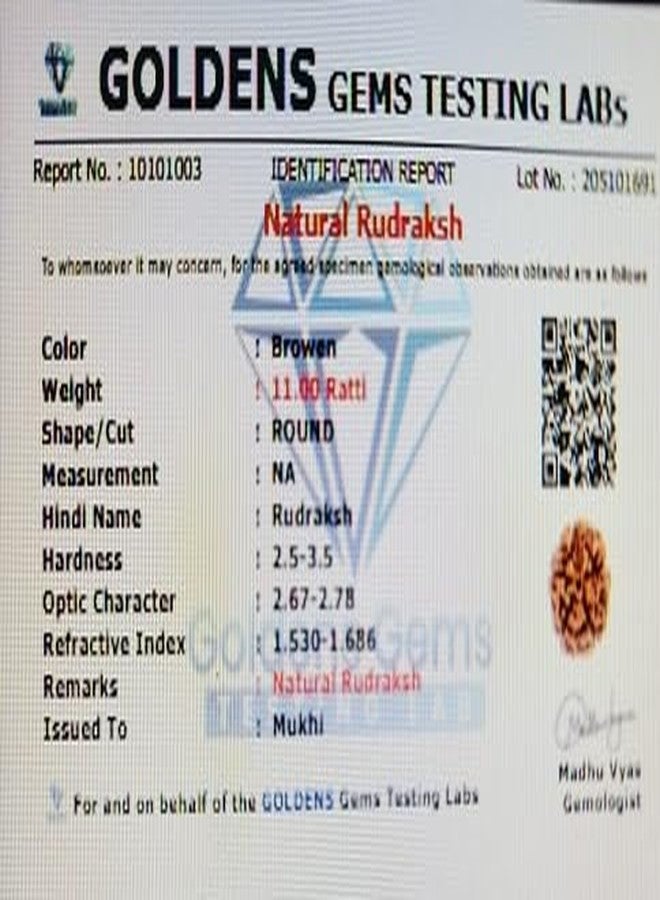 سيدهارث الأحجار الكريمة قلادة SIDHARTH GEMS 7 Mukhi نيبالية Rudraksha ذات فوائد فلكية طبيعية ومعتمدة تصميم للجنسين [SIDHARTH7667] - Image 3