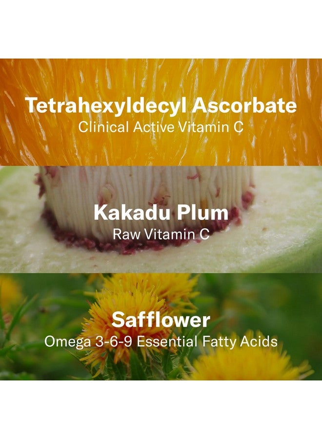 أوداسايت تركيبة Odacité Jojoba Pearls Daily Hydraexfoliant للترطيب والشد، نباتية للعناية بالبشرة الحساسة، مناسبة لجميع أنواع البشرة، 1.69 أونصة - Image 4