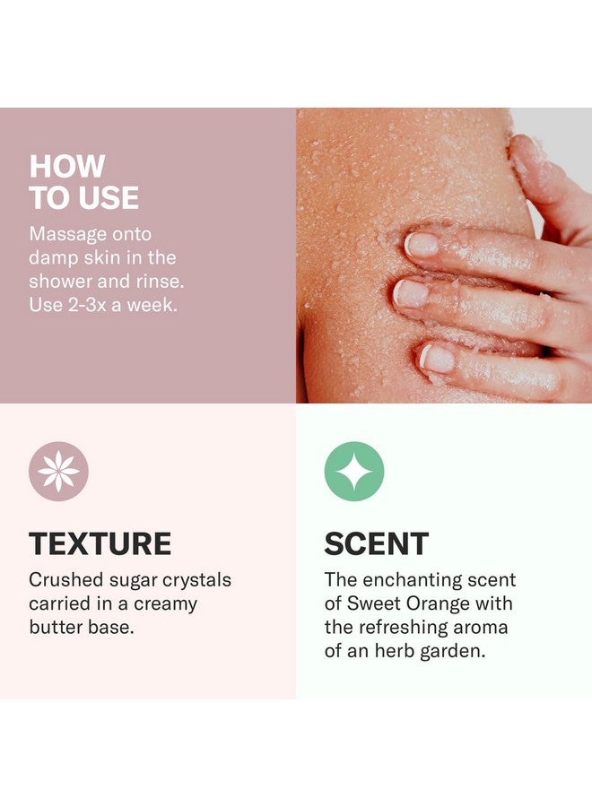 أوداسايت تركيبة Odacité Jojoba Pearls Daily Hydraexfoliant للترطيب والشد، نباتية للعناية بالبشرة الحساسة، مناسبة لجميع أنواع البشرة، 1.69 أونصة - Image 5