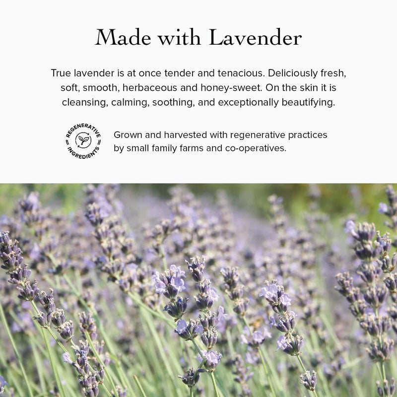 evanhealy Blue Chamomile Moisturizer | Calming Facial Cream with Carrot Seed & Argan Oil | Creamy Moisturizer For Sensitive & Reactive Skin - Image 5