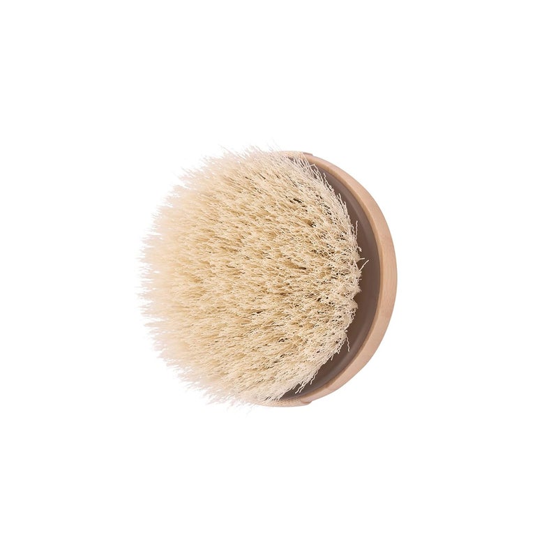 EcoTools Dry Body Brush For Post Shower Bath Skincare Routine Removes Dirt Promotes Blood Circulation Helps Reduce Appearance of Cellulite EcoFriendly Vegan CrueltyFree 1 Count - Image 4