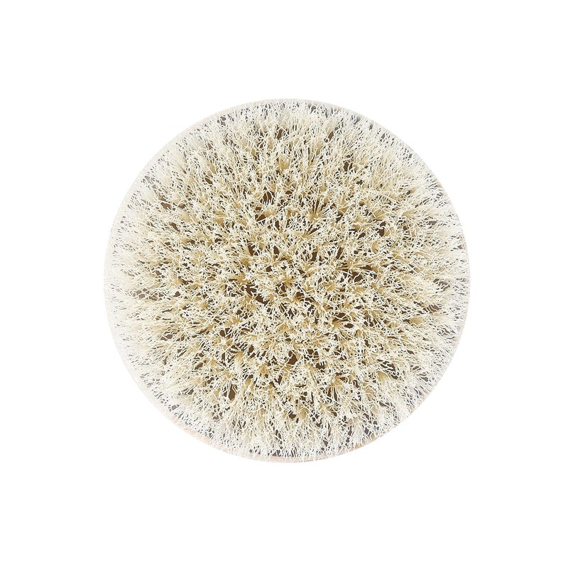 EcoTools Dry Body Brush For Post Shower Bath Skincare Routine Removes Dirt Promotes Blood Circulation Helps Reduce Appearance of Cellulite EcoFriendly Vegan CrueltyFree 1 Count - Image 3