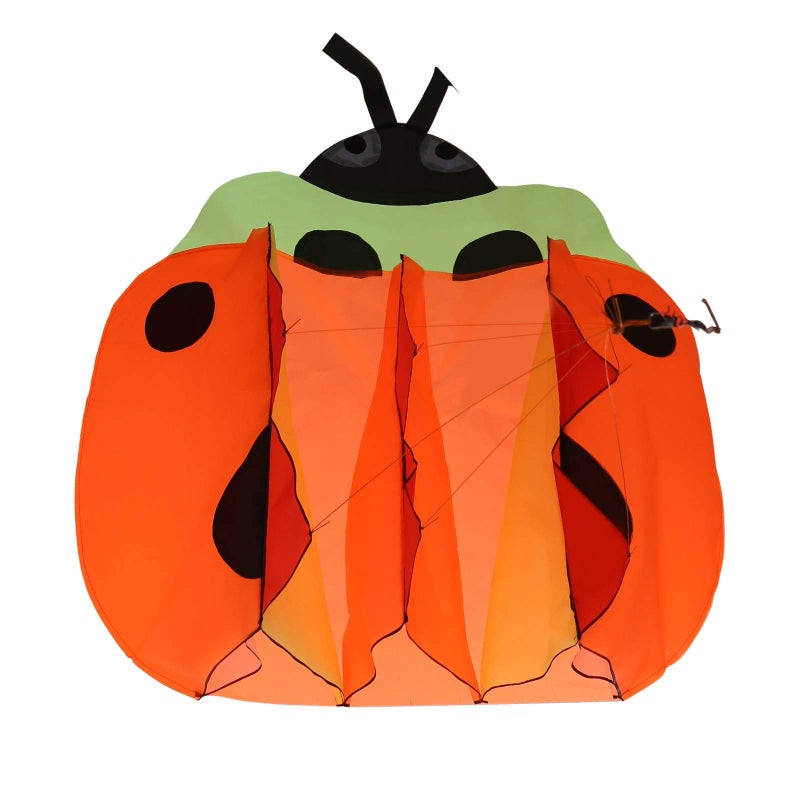 إيمدج Image 3D Kite Large Ladybird Breeze Beach Kites مع هدية عملاقة ضخمة لليخ - Image 1