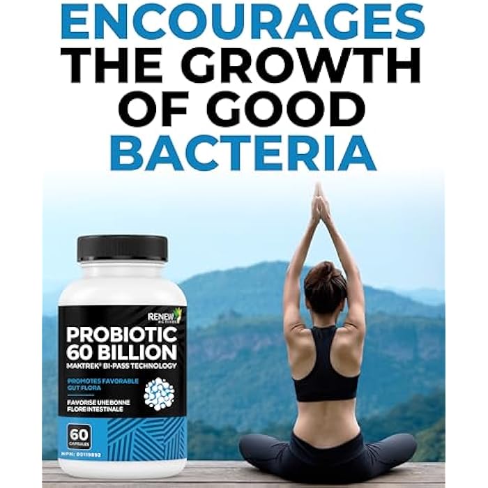 Renew Actives Probiotic Supplement for Digestive Health 60 Billion CFU per 2 Capsules - Advanced Formula with Prebiotic Benefits - Supports Gut Flora Balance & Wellness - Made in Canada - 60 Capsules - Image 3