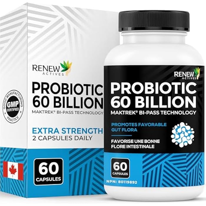 Renew Actives Probiotic Supplement for Digestive Health 60 Billion CFU per 2 Capsules - Advanced Formula with Prebiotic Benefits - Supports Gut Flora Balance & Wellness - Made in Canada - 60 Capsules - Image 1