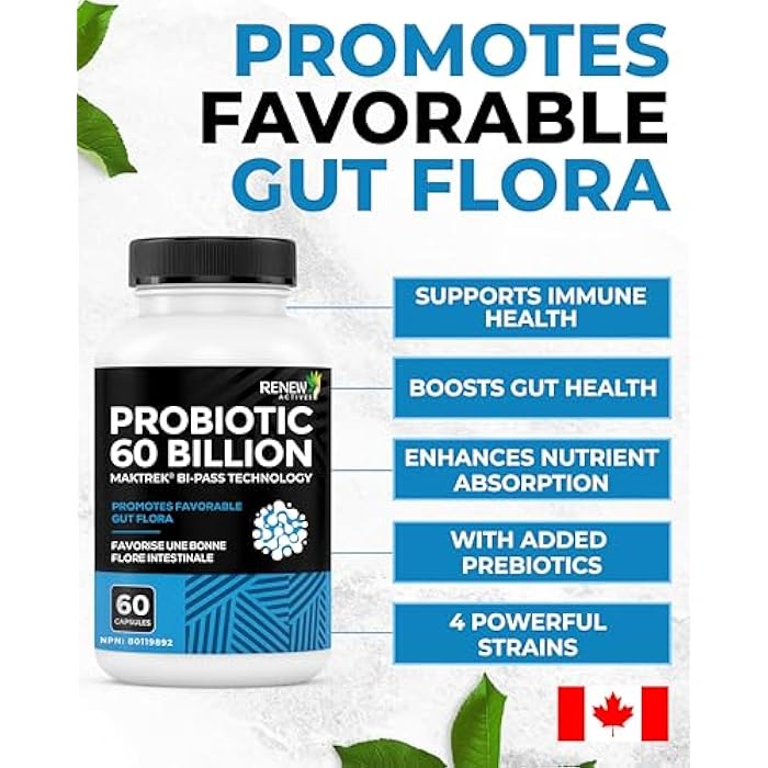 Renew Actives Probiotic Supplement for Digestive Health 60 Billion CFU per 2 Capsules - Advanced Formula with Prebiotic Benefits - Supports Gut Flora Balance & Wellness - Made in Canada - 60 Capsules - Image 5