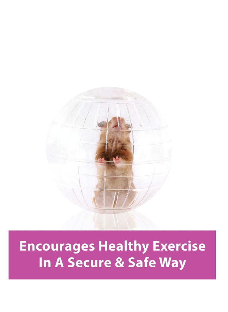 Kaytee - Kaytee 7" Moon Glow Run-About Exercise Ball For Pet Hamsters & Gerbils - Image 1