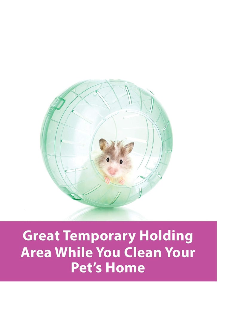 Kaytee - Kaytee 7" Moon Glow Run-About Exercise Ball For Pet Hamsters & Gerbils - Image 1